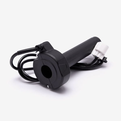 Charged Electronic Throttle Assembly