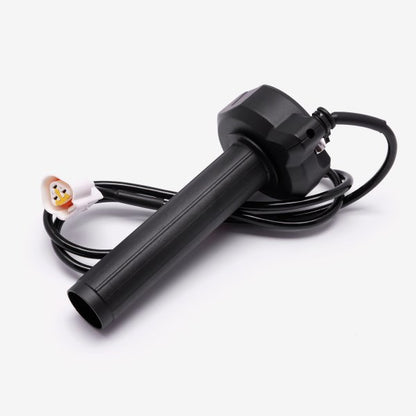 Charged Electronic Throttle Assembly