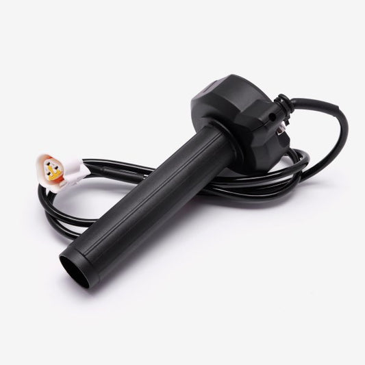 Charged Electronic Throttle Assembly