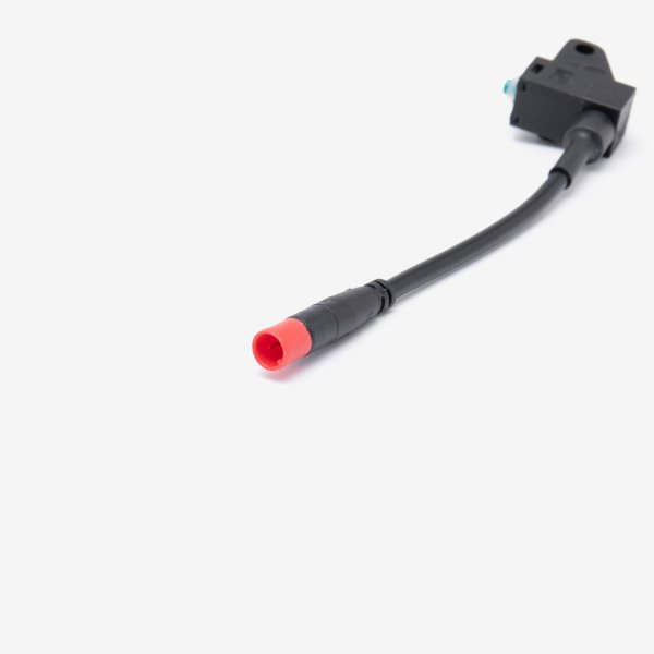 Rear Brake Switch