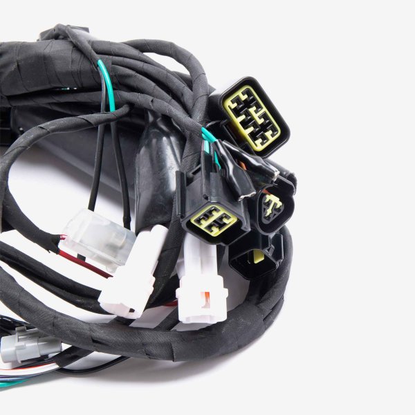 Charged Wiring Loom for Light bee