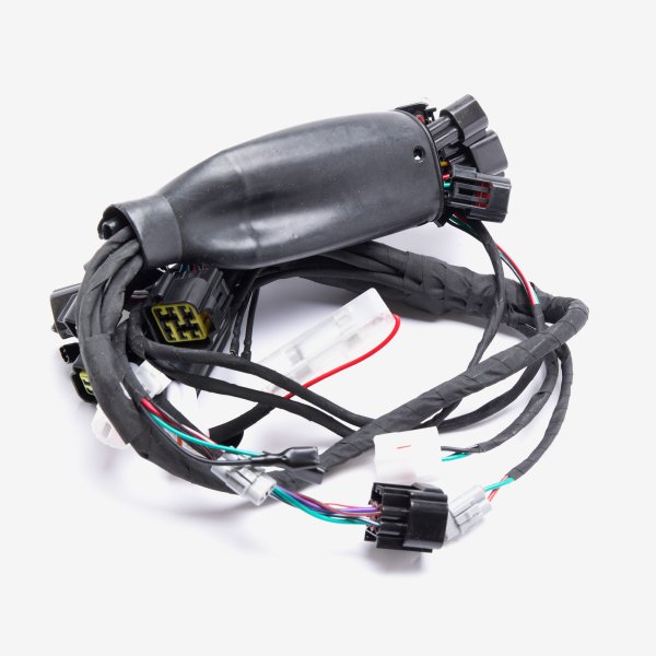 Charged Wiring Loom for Light bee