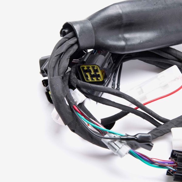 Charged Wiring Loom for Light bee
