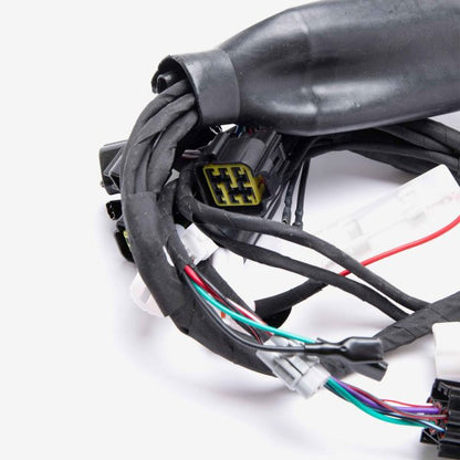 Charged Wiring Loom for Light bee