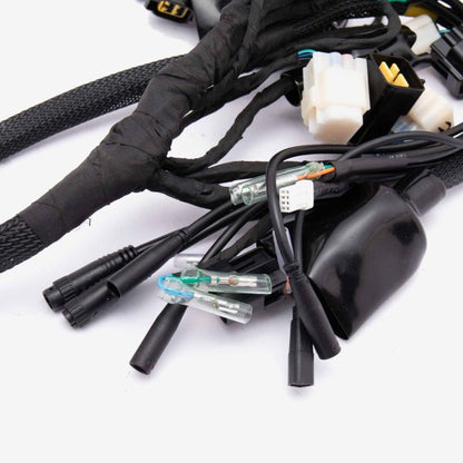 Wiring Loom
