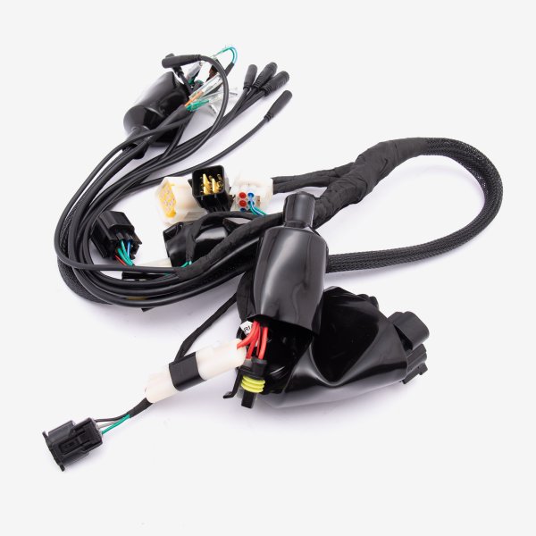 Wiring Loom