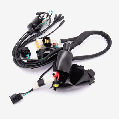 Wiring Loom