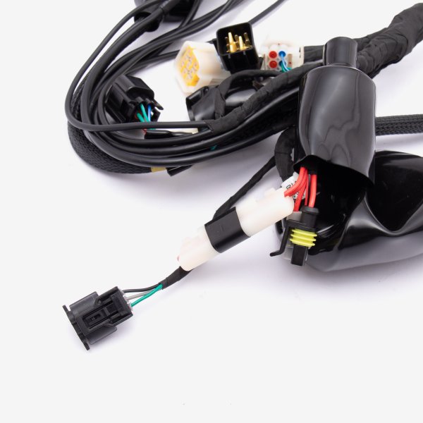 Wiring Loom