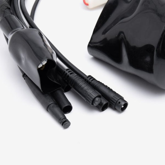 Wiring Loom