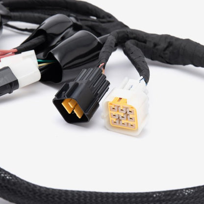 Wiring Loom