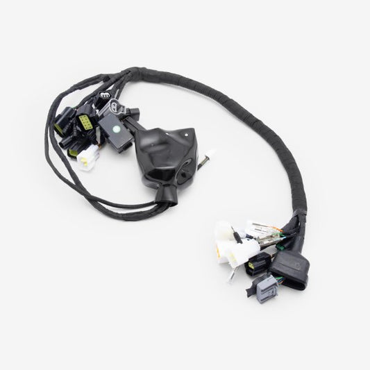 Charged Wiring Loom for Ultra Bee