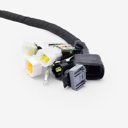 Charged Wiring Loom for Ultra Bee