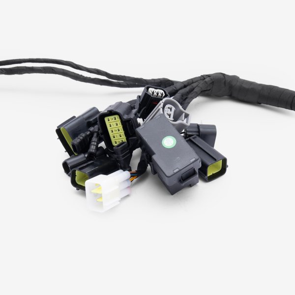 Charged Wiring Loom for Ultra Bee