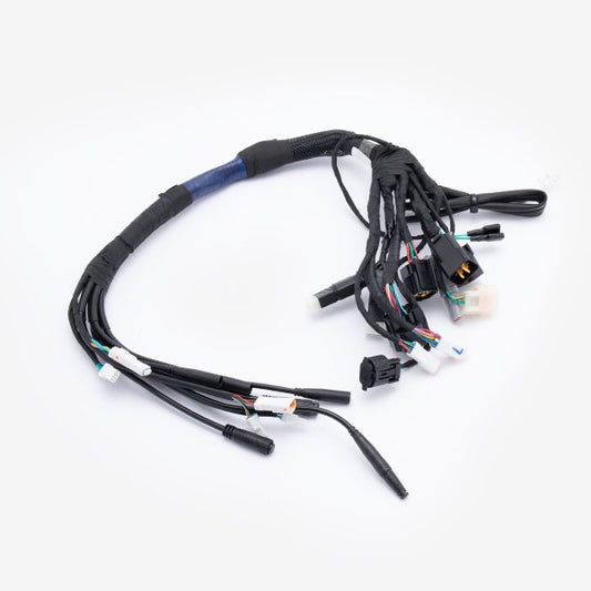 Wiring Loom