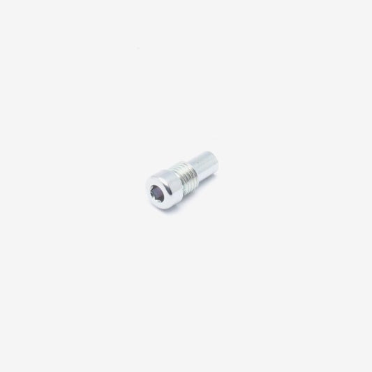 Battery Compartment Cover Bolt M8 x 19mm