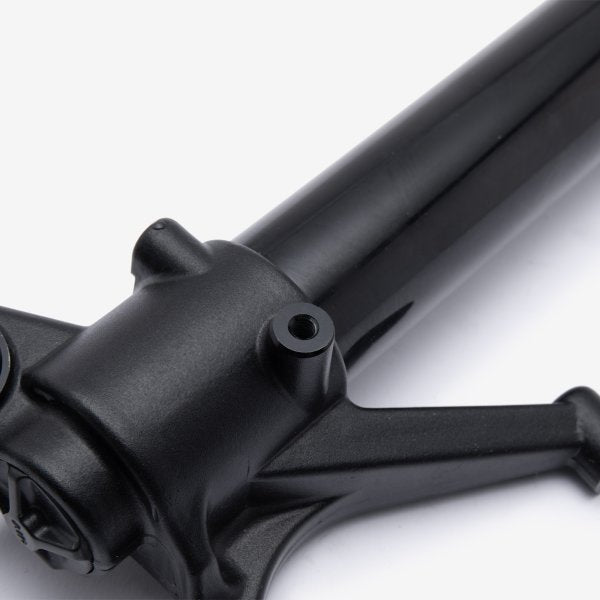 Suspension/Fork (Left)