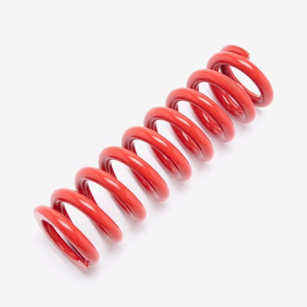 Charged Rear Shock Absorber Spring 650lbs